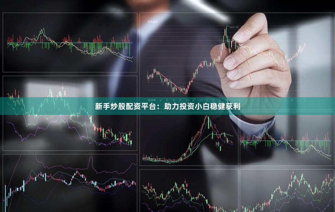 新手炒股配资平台：助力投资小白稳健获利